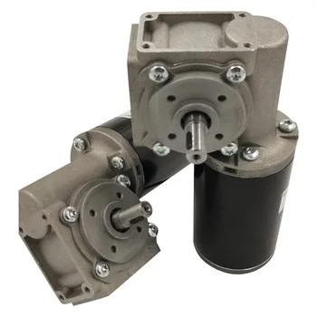 For Medical Device Dual Shaft Bronze Low Speed D63 12v/24v 24 Volt Motor High Torque Dc Worm Gear