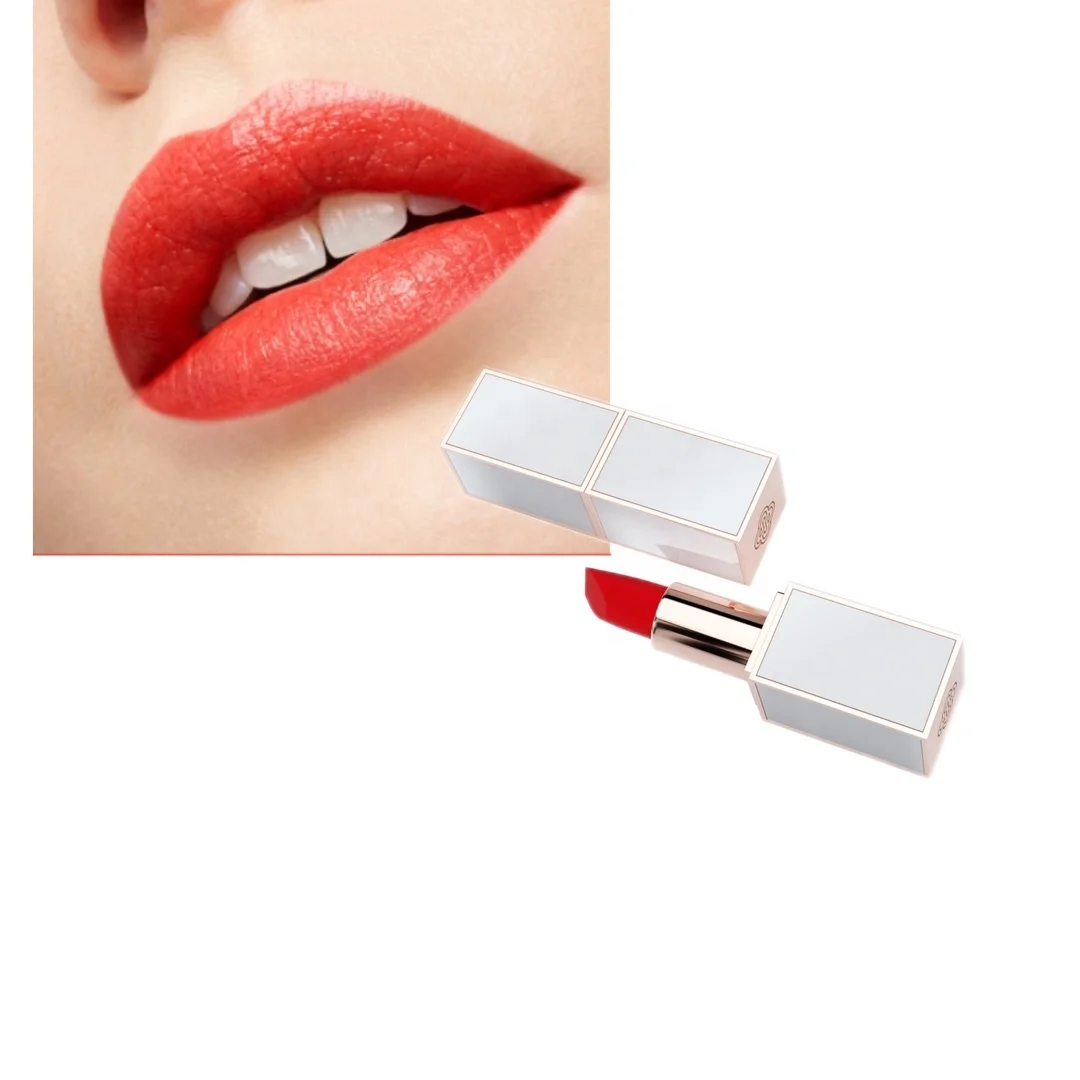 Оптовая продажа от поставщика косметики lakme водостойкая матовая помада с индивидуальным логотипом