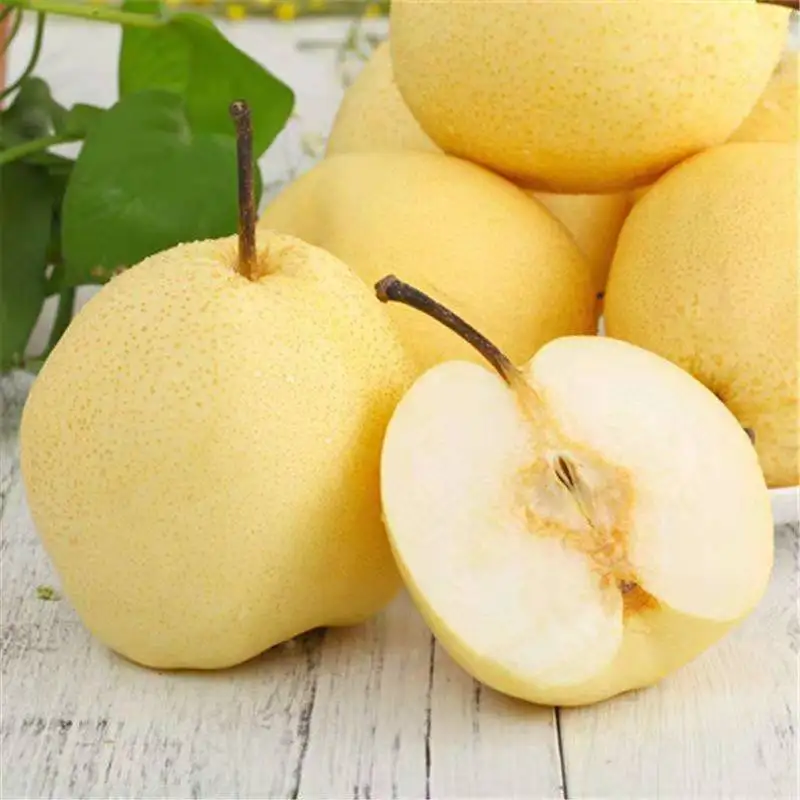 Liyuan exports a large number of fresh tribute pears, high quality and low price