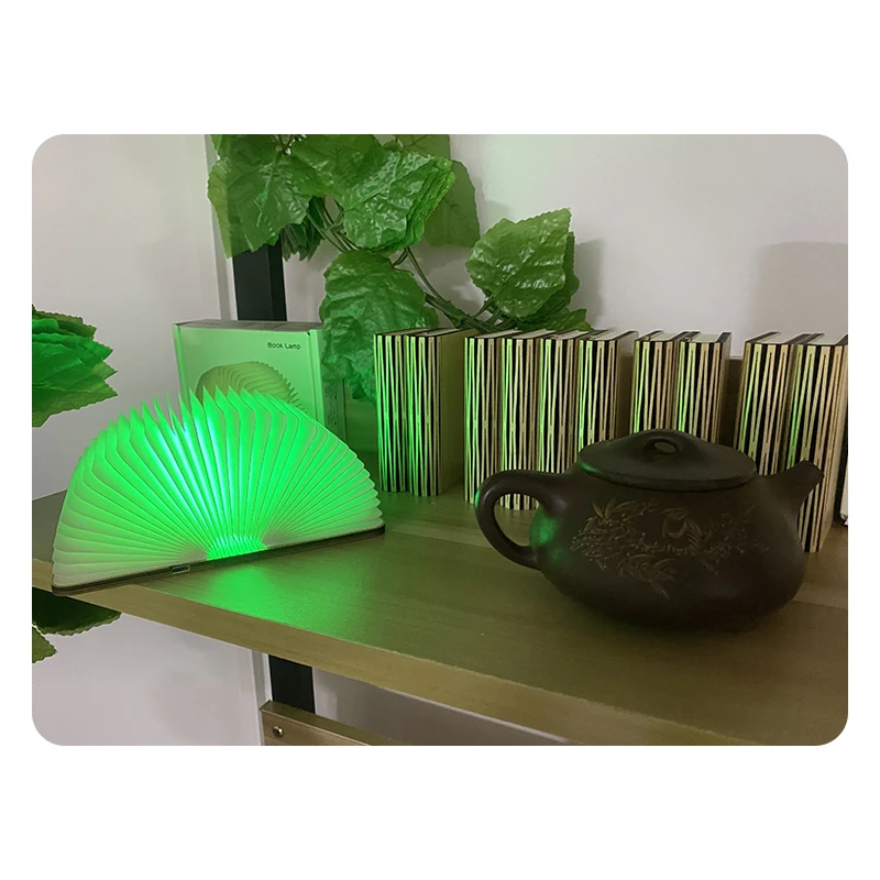 Customized Mini Design Vintage Change Color Wooden Shell LED Book Lamp Light