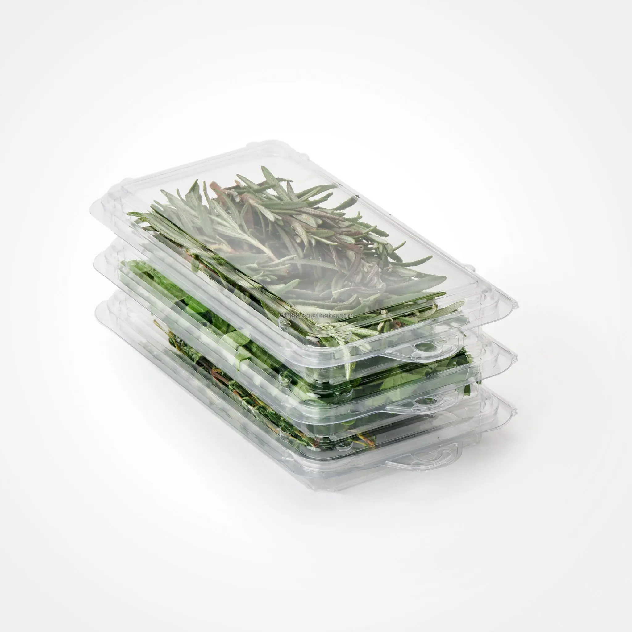 Hinged lid plastic blister clamshell packaging box for fresh herb
