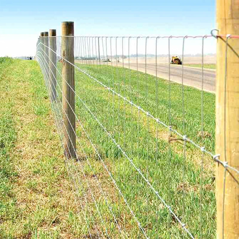 Farm Fence Cattle Feed Equipment Game Wire Mesh 1.2M High Sheep Cattle Fixed Knot Field-Fence 50M 100M Farm Guard Field Fence