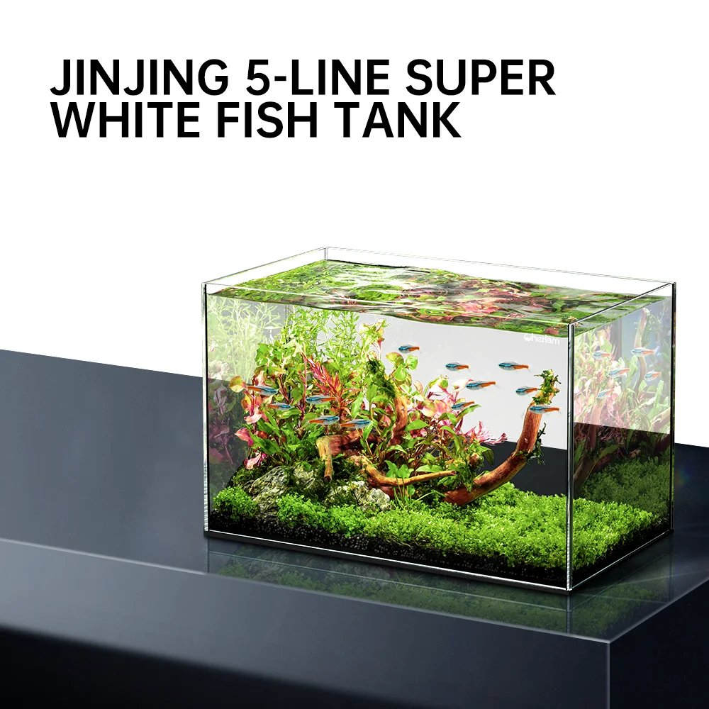 2024 New wn  Customized Ultra White Clear Glass Fish Tanks Home Decoration Desktop Black Glue Reef Aquarium