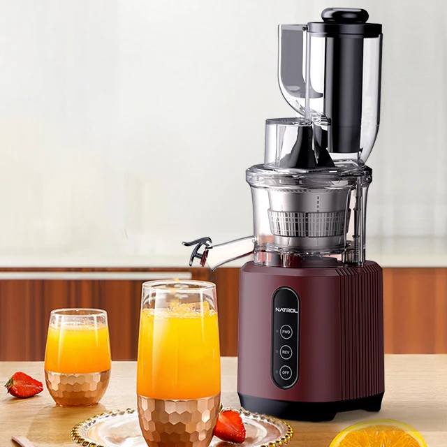 Smart Commercial Electric Masticating Juicer Best Multi-Function Slow Fruit Blender Cold Press Machine by Whole Extractor