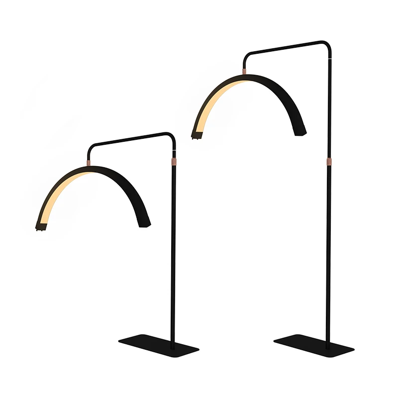 Hot sale Led Moon Light Beauty Salon Eyebrow Lash light Arc beauty lamp