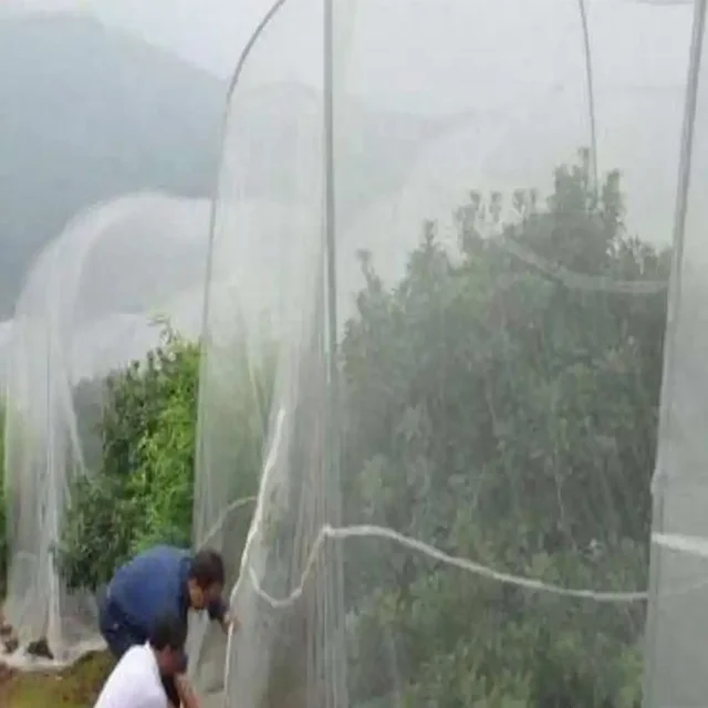 insect breeding tural agro greenhouse butterfly killer orange tree hdpe mesh60 anti insect net roll