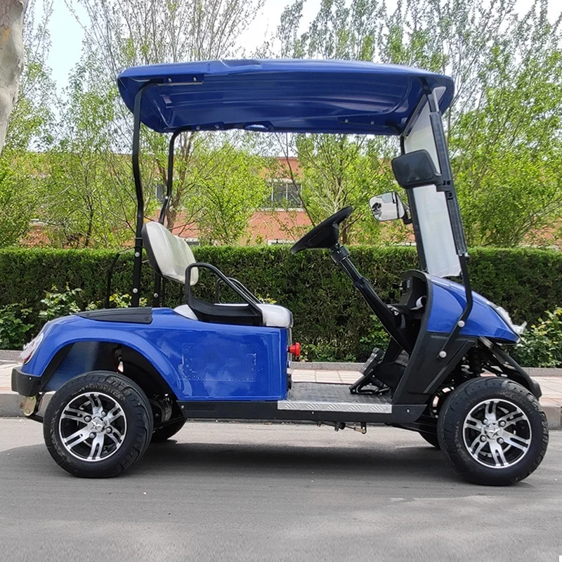 Hot Sale  48V Customized 6 Seater Side By Side electric utv 4x4 Buggy Cart With Legal Lithium Battery