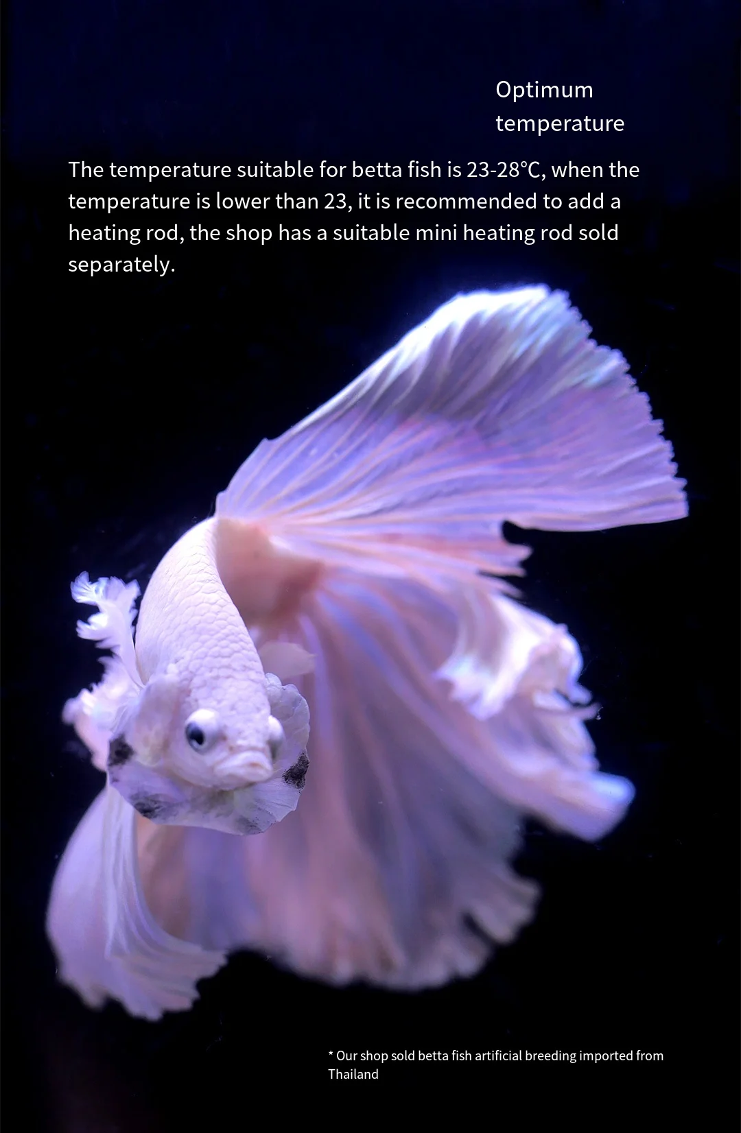 OEM New layered douyu fish tank combination multi grid moonlight jellyfish fish tank integrated tank