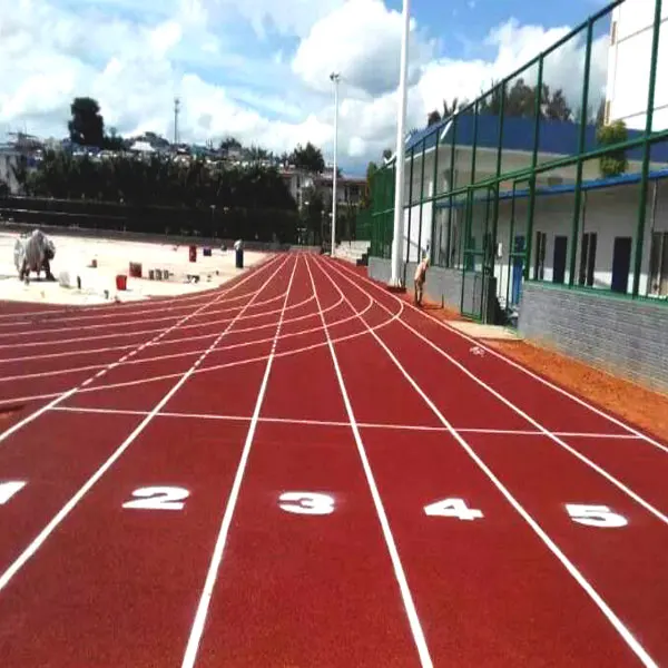 Red or blue colored EPDM running track ,13mm synthetic rubber running track FN P2401182