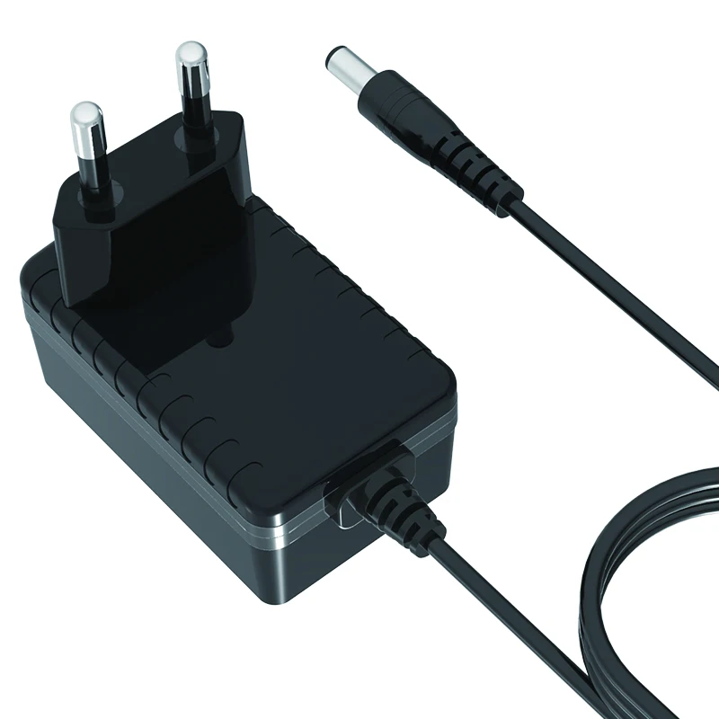Manufacturer 15V 1.6A 24W Power Adapter With CE GS VI EMC EMI CB LVD Certification PCBA Design Neat Fireproof Material
