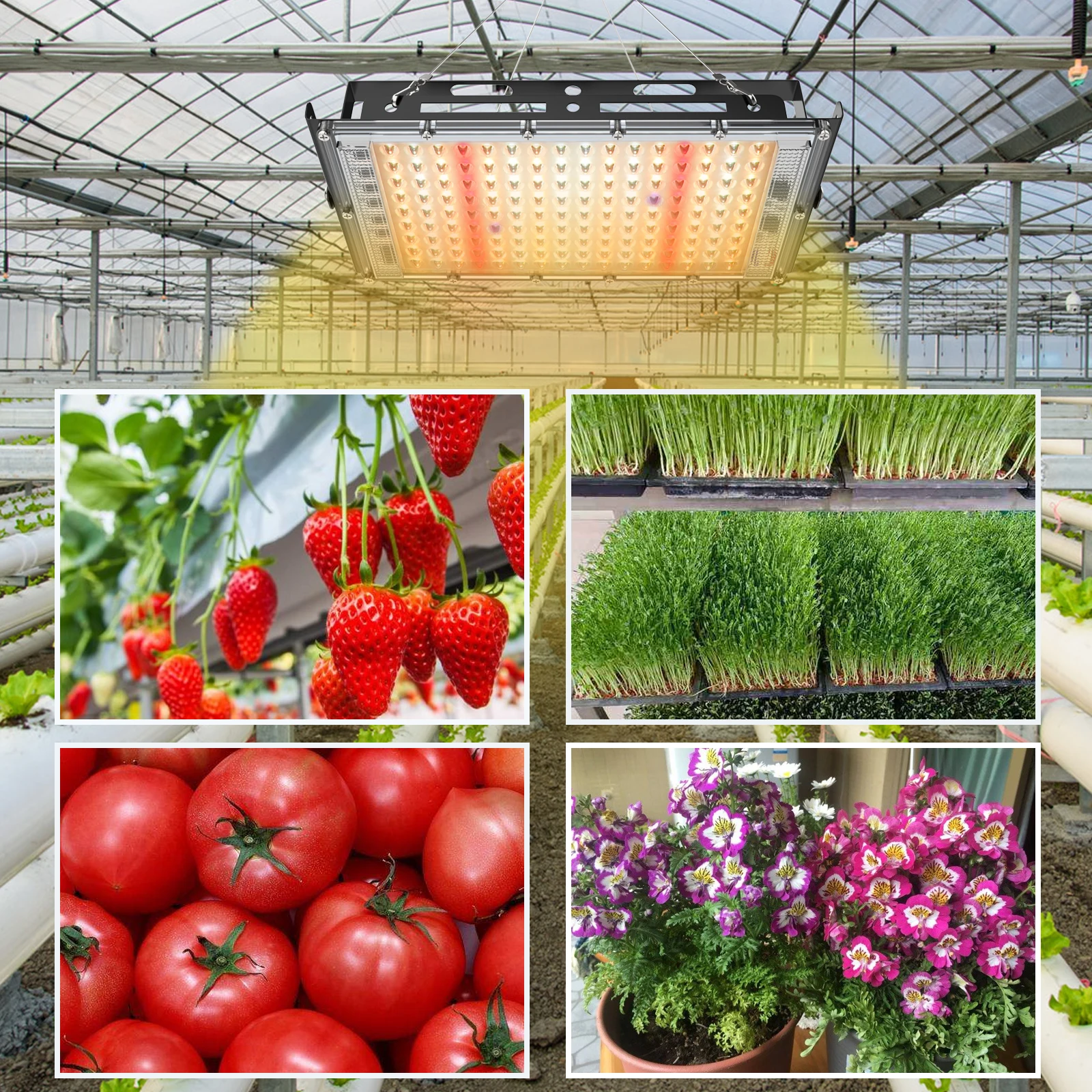 400w Full Spectrum Grow lights IP65 Indoor Outdoor Plants Veg Fruits Timing dimming Led Grow Lights