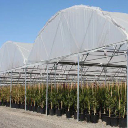 Легкая сборка, листовая теплица из поликарбоната, низкая цена, сельскохозяйственная теплица
