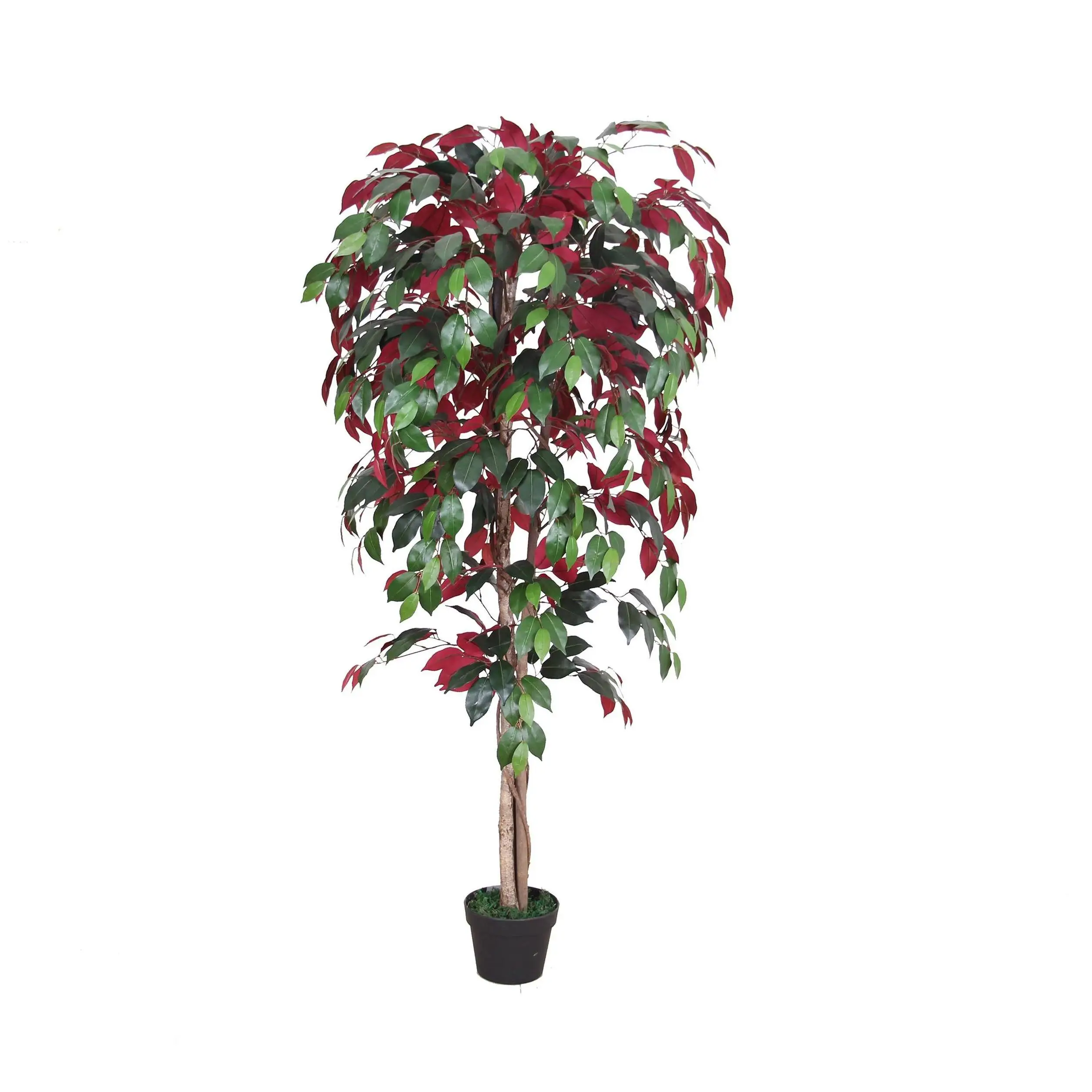 Other Decorative Plants Dry Giant Real Red Modern With Lights Indoor Potted Tall With Pot Natural For Wedding Fake Plant Olive