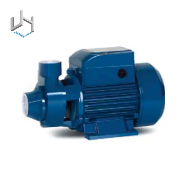 Electric Motor Aluminum Motor Housing Cast Iron Body Peripheral Pump Water Pump