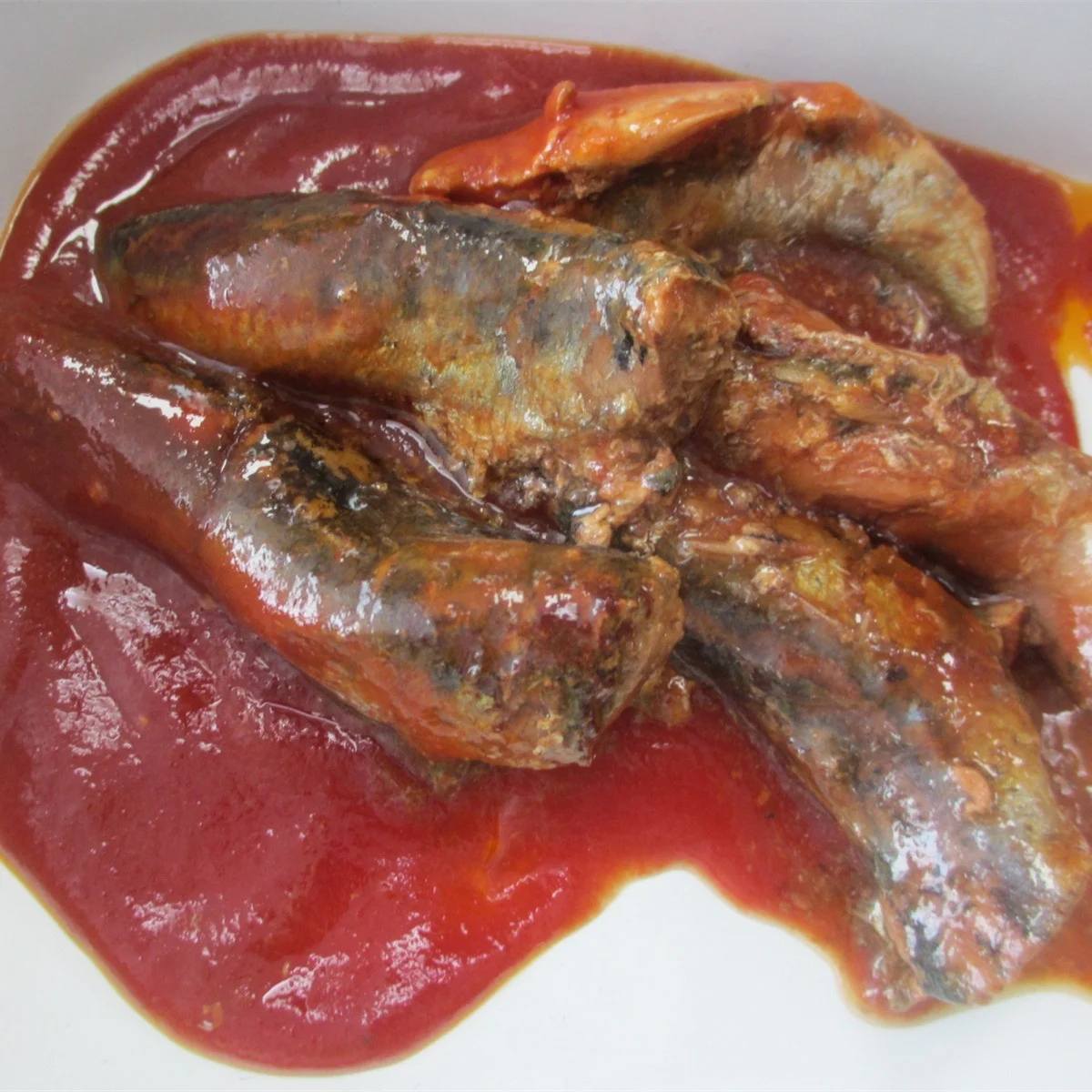 Canned Sardines In Tomato Sauce Vegetable Oil 155g 425g
