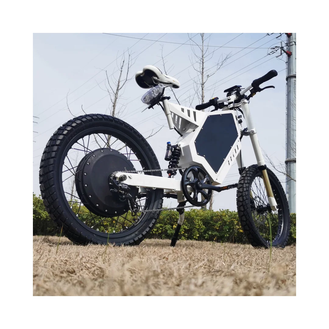 high powerful europe e cycle 80 km max speed Fat Tire Electric Bike Mountain Bike Electric Hybrid Bike