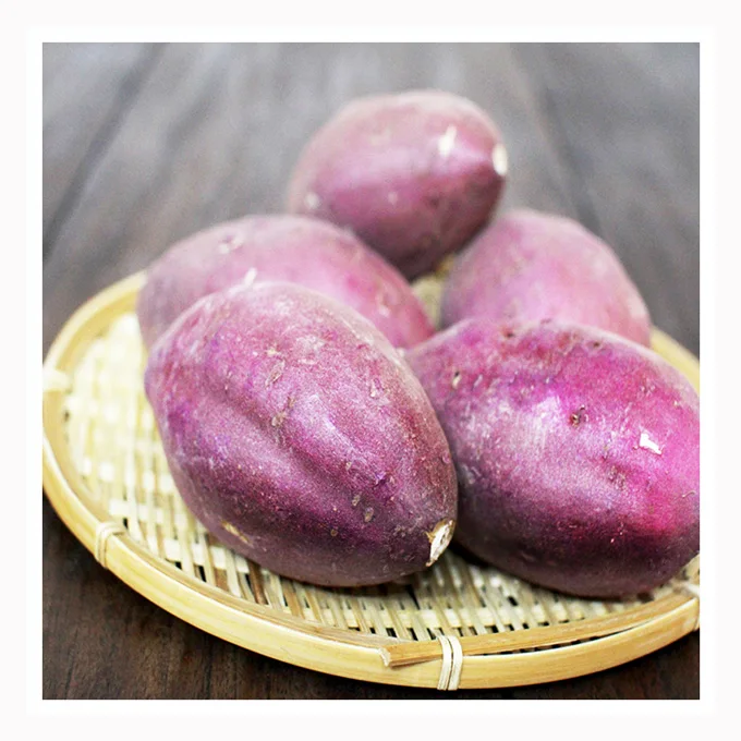 Японские высококачественные овощные свежие растения сладкого картофеля для продажи