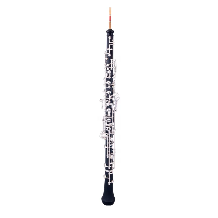 Профессиональный музыкальный инструмент сопрано Oboes C Ключ жесткий резиновый корпус oboes