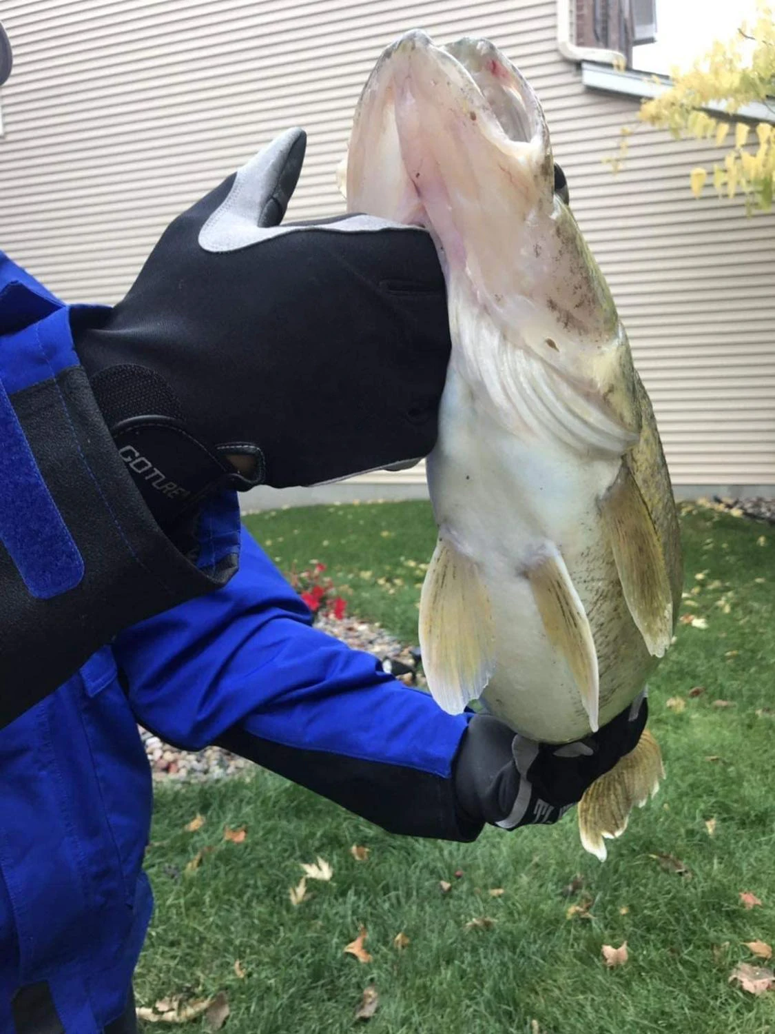 Водонепроницаемые Нескользящие прочные дышащие спортивные перчатки Goture для улицы, неопреновые рыболовные перчатки, зимние рыболовные перчатки