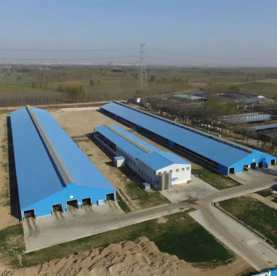 Дешевый куриный сарай, птицеферма на продажу