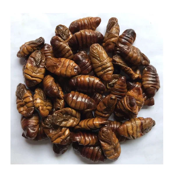 Edible Insect Silkworm Maggot Eco Fresh Silkworm Pupae Pet Food