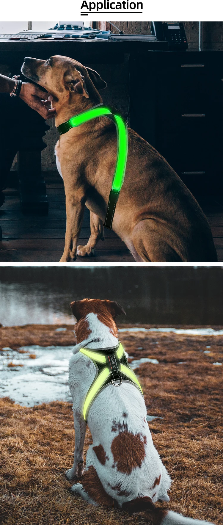 8 Colors Rechargeable LED Pet Collar Keep Your Dog Safe And Visible At Night With Flashing Lights Suitable For Medium Large Dog