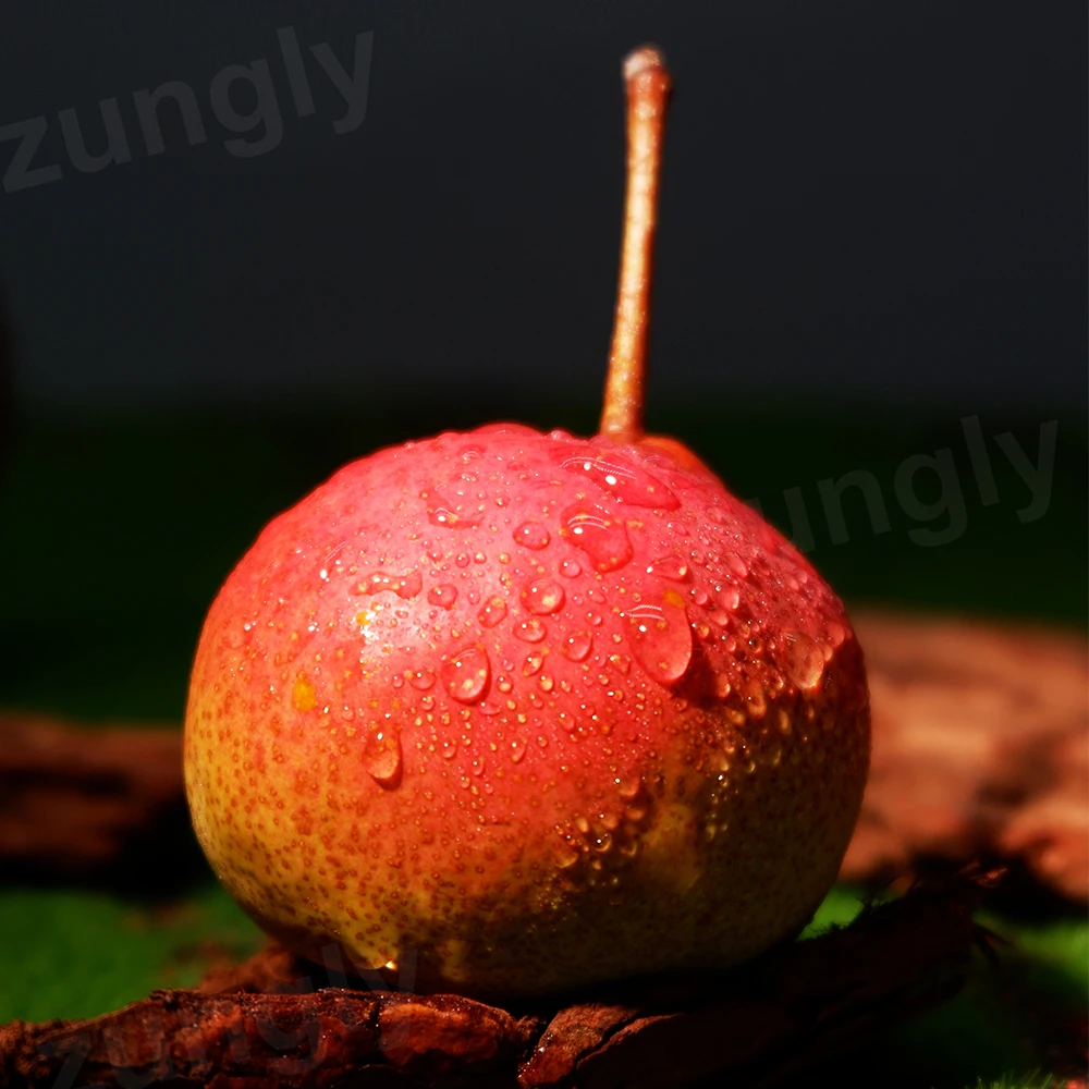 Sweet Crispy Small Red Snow Pear Fresh Fruit China Price