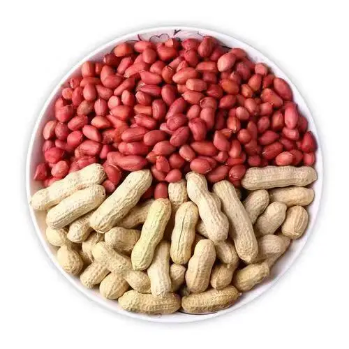 High Quality Organic Roasted Peanut Kernels Dried Raw Snack Processing Type Good Quality in Shell Peanut Kernels