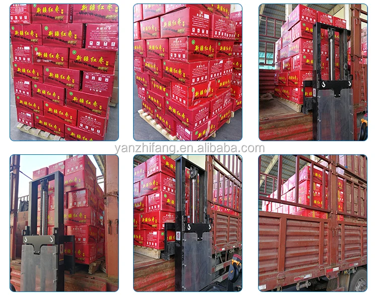 King Jujube big size red date for food