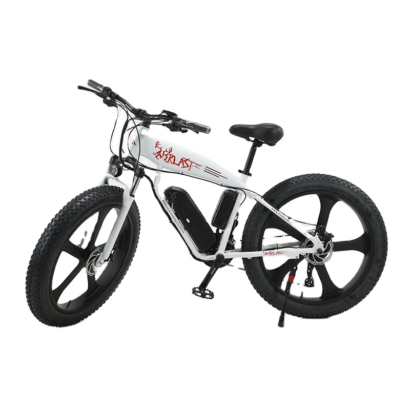 Cheap Wholesale 26 inch 750W 48v Fat Tire Electric Mountain Snow Bike Power Motor Electric Bicycle(old) 21 Speed City e Bikes