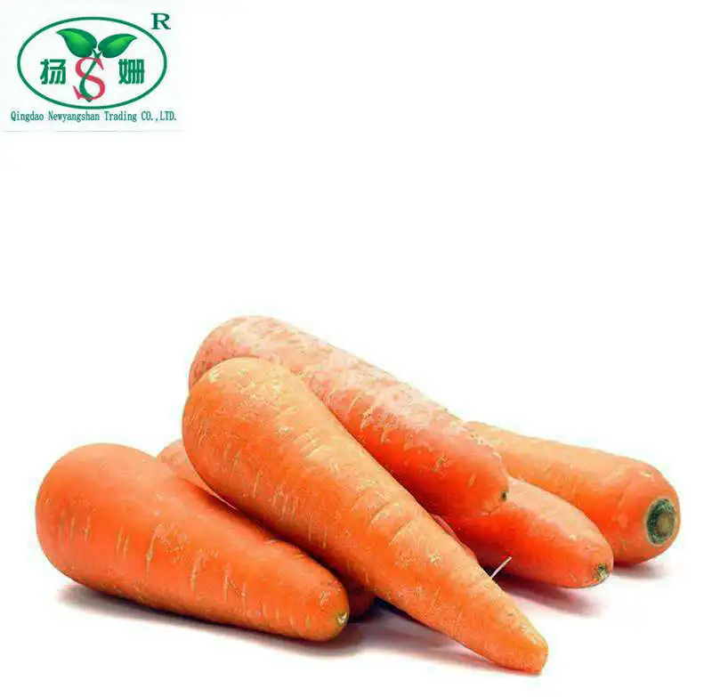 Alibaba Gold Supplier Information Carrot carton packing specializes in exporting to Thailand, Singapore, Malaysia, Philippines