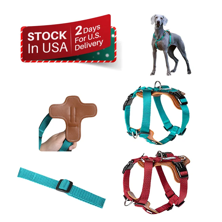 Кардамон красный L Deluxe Тактический поводок для собак для собаки для тренировок на улице, прогулки на свежем воздухе ремни