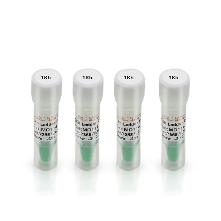High Grade 1kb Ladder DNA marker (1000,2000,3000,4000,5000,6000,8000,10000bp)