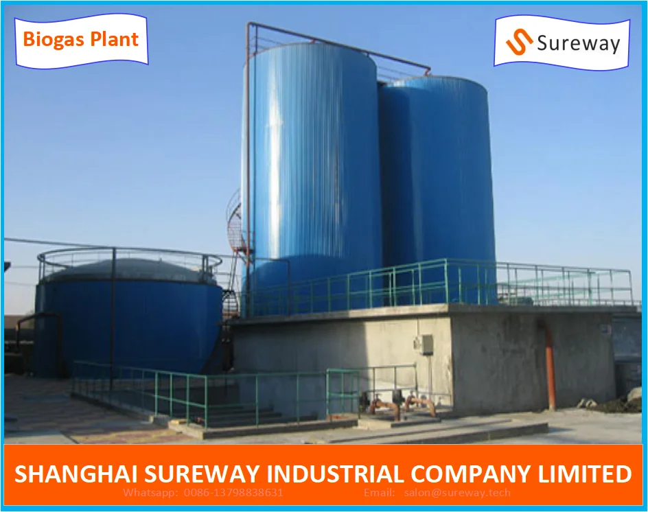 Animal Farm 20000m3 Anaerobic Lagoon Biogas Plant