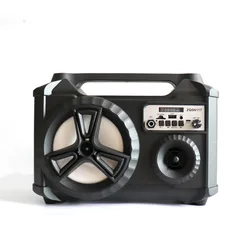 BT 5.0 Multi-functional &wireless LED colorful jump lights Speaker Fm Radio Portable Sound Equipment/amplifiers/speaker