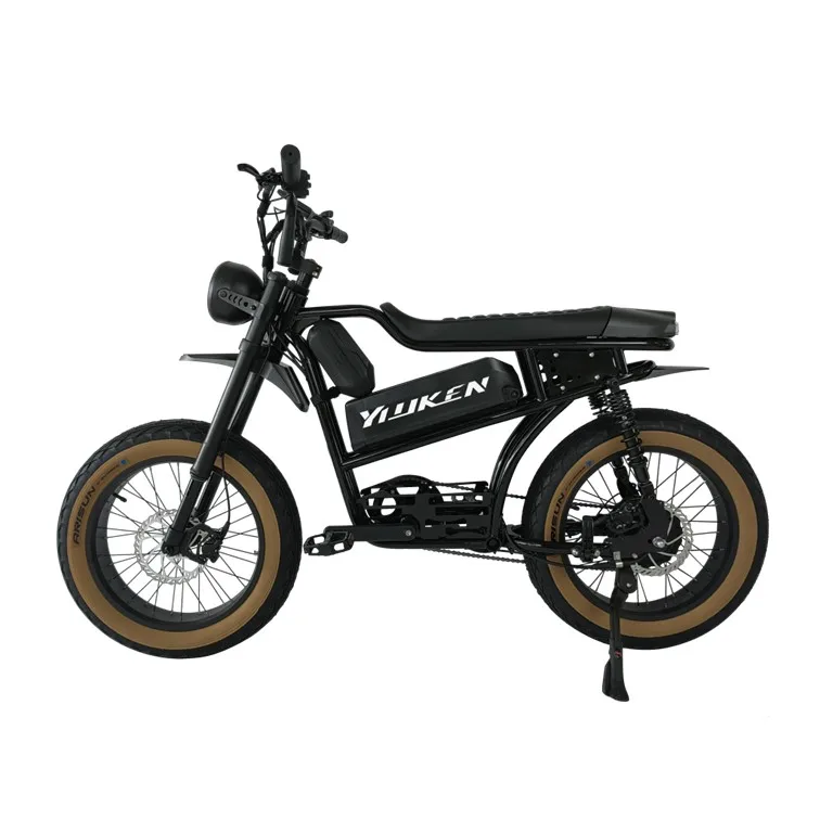 Hot Sale Fat Tire Retro Style Cafe Racer Electric Bike Vintage E-bike 48V 750w Electric Bicycle