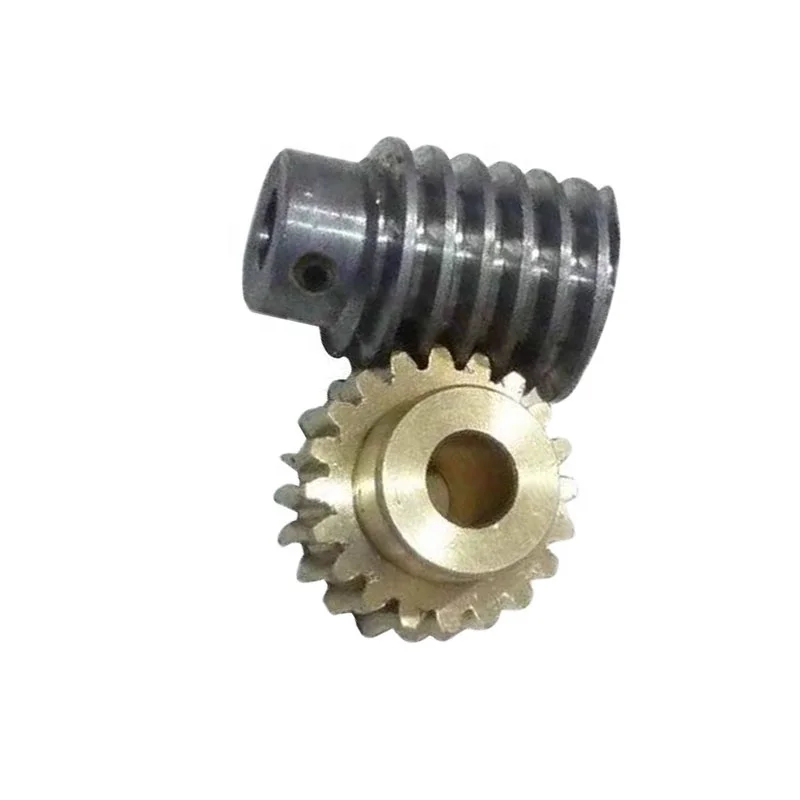 Precision Spur Small Brass Worm Gear