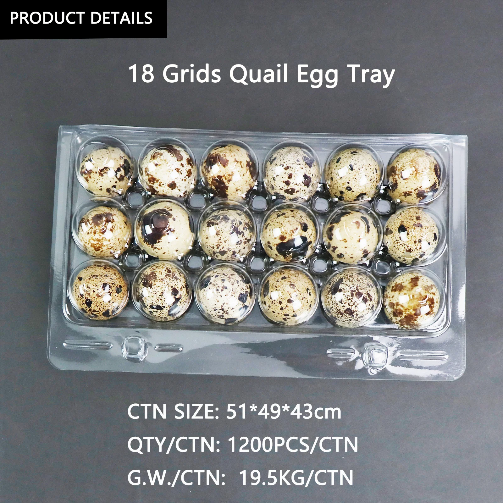 Plastic Quail Egg Cartons 18 Holes Quail Egg Tray 18 Quail Eggs Tray Manufacturer