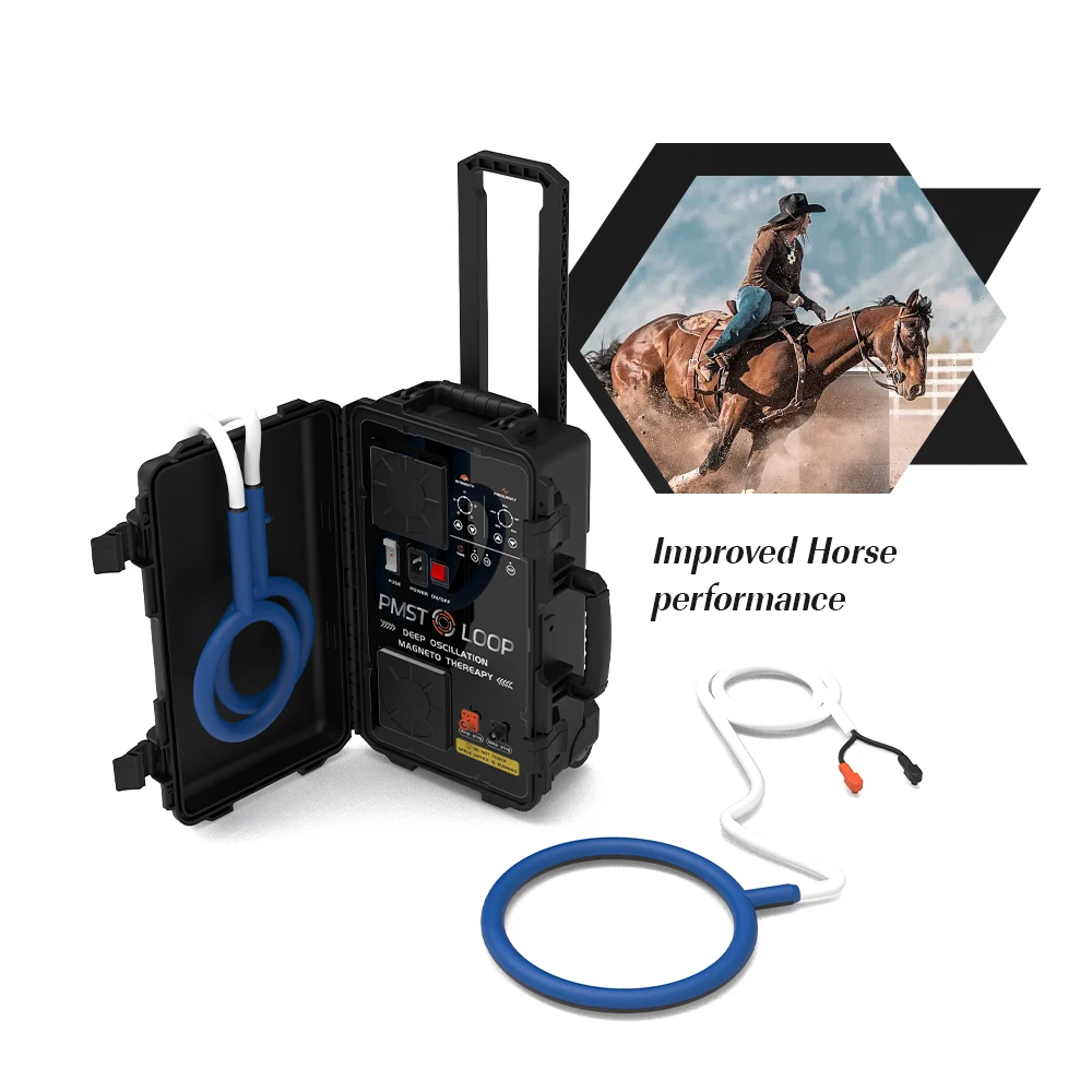 PEMF 4 Tesla Pulsed Electromagnetic Field Therapy Rehabilitation With Loop Machine For Horse Therapy