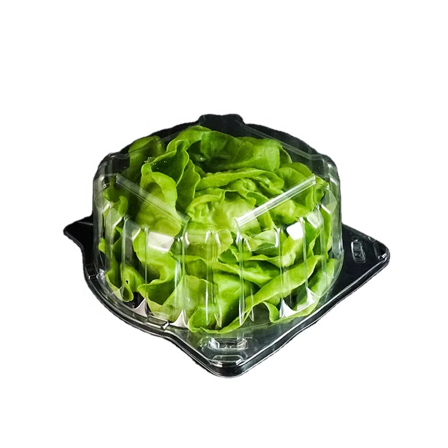 Профессиональные пластиковые коробки для упаковки пищевых продуктов от производителя