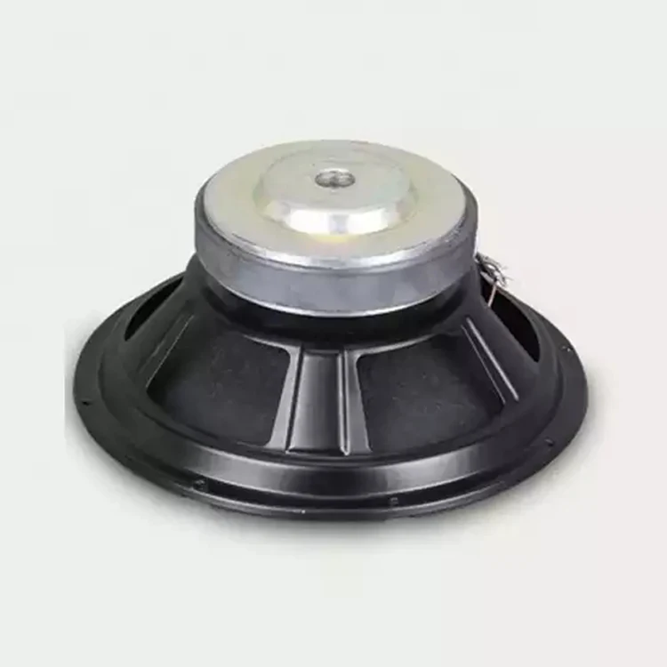Professional 10 inch loudspeaker 140mm magnet diameter audio dj speaker woofer