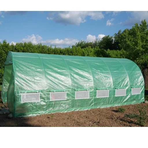 
Multifunctional Greenhouse Tomato For Wholesales 
