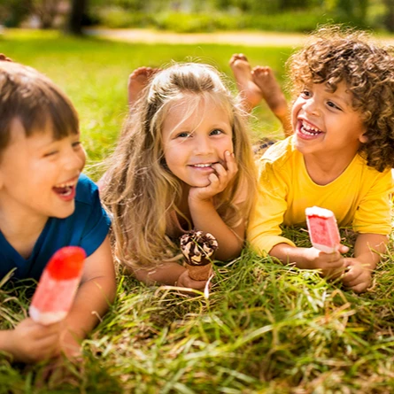 Cargill World Leading Supplier Maltodextrin non sweetening bulking spray dried 5DE NonGMO vegetable starch Cargill Bulk Discount Pricing