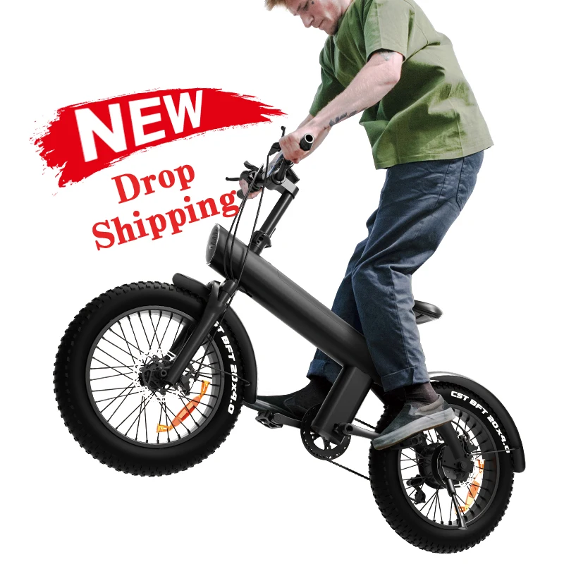 Factory Wholesale Custom Available Q3 20 Inch Outdoor Fat Tire Road Electric Hybrid Bike Long Range Mountain Electric E Bicycle