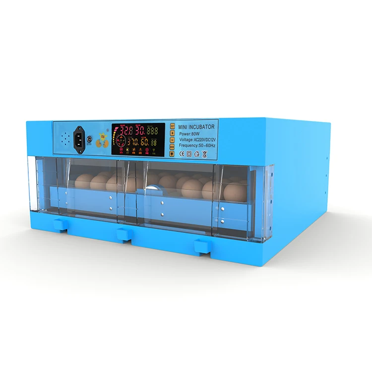 12V Battery power supply 64 chicken egg incubator cheap price for sale