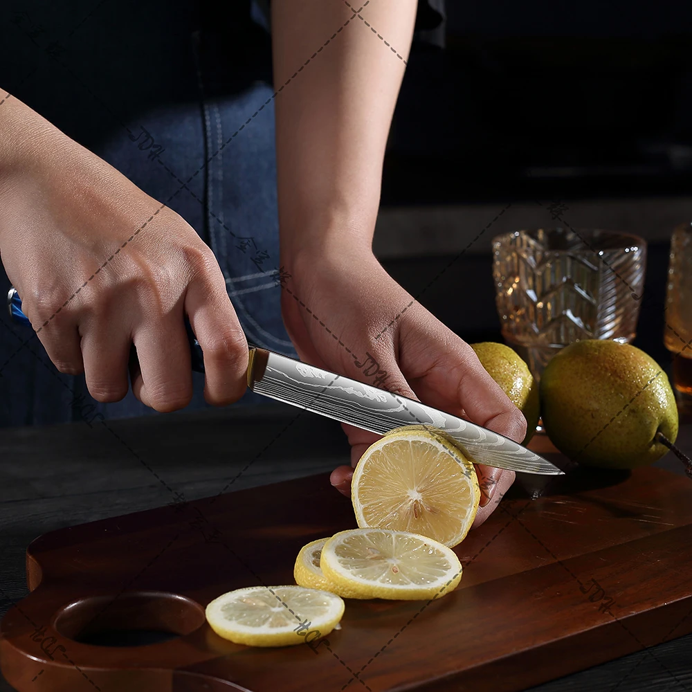 7 inch Hot Sale Santoku Chef Knife Ironwood Handle vg10 73 Layers Damascus Steel Kitchen Knife with Blue Resin Handle