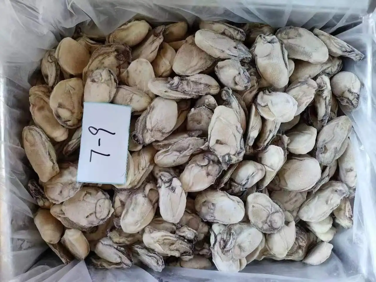 New Season Frozen Oyster Meat Shell-Off Cooked Oyster Meat Premium Oyster Product