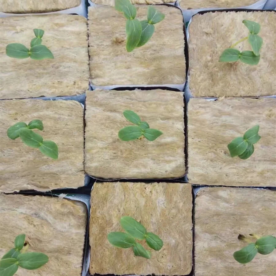 2021 Hydroponic Rock mineral Wool with Hydroponic Mushroom Seeds Growing Medium Rock mineral Wool Cube