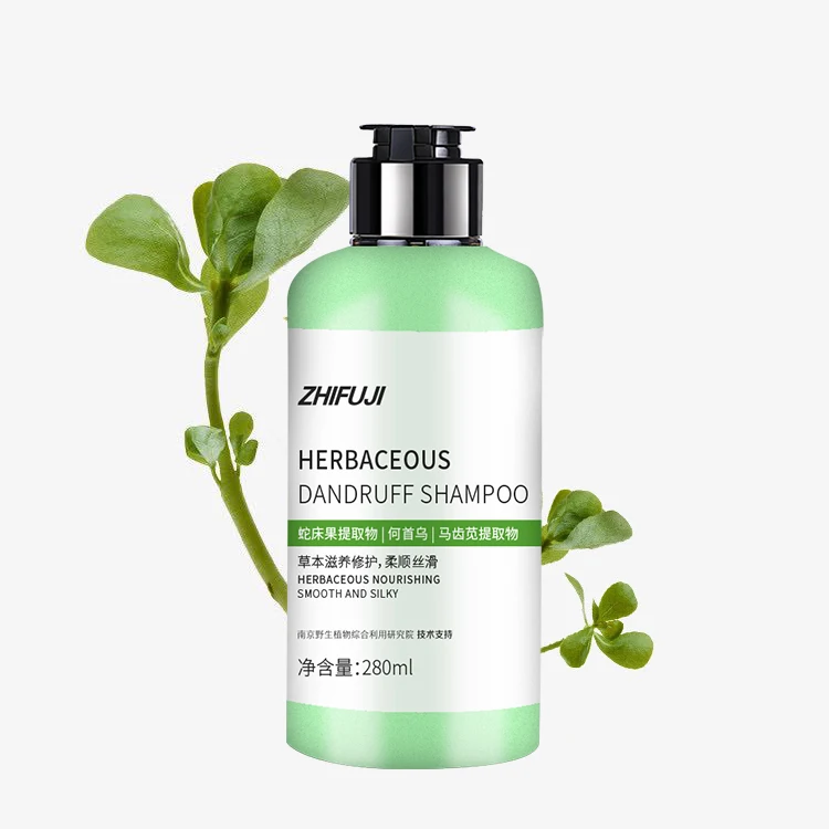Wholesale private label pure nature plant extract OEM ODM medicated anti dandruff shampoo
