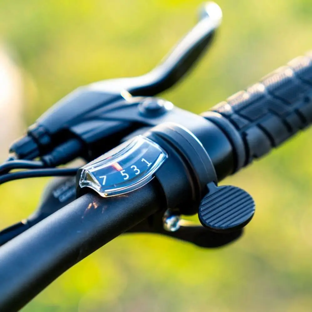 [Poland Stock] FIIDO D11 Folding Electric Moped Bicycle 20 Inches Tire 25km/h Max Speed Three Modes 11.6AH Lithium Battery